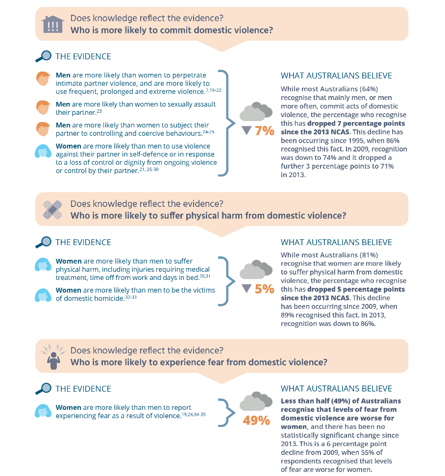 Infographic showing the knowledge of the gendered pattern of intimate partner violence Text alternative below