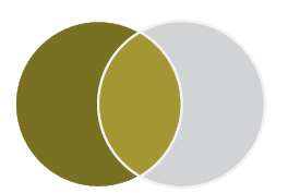 Venn diagram with two circles. The circle on the left is gold and the circle on the right is grey. The space where the circles overlap is light gold.