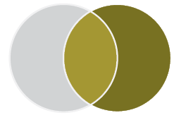 Venn diagram with two circles. The circle on the left is grey. The circle on the right is gold. The space where the circles overlap is light gold.