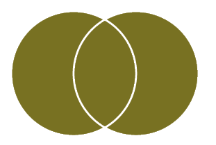 Venn diagram with two circles. both circles are gold. The space where the circles overlap is gold.