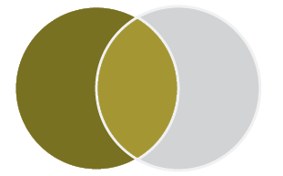 Venn diagram with two circles. The circle on the left is gold and the circle on the right is grey. The space where the circles overlap is light gold.