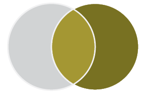 Venn diagram with two circles. The circle on the left is grey. The circle on the right is gold. The space where the circles overlap is light gold.