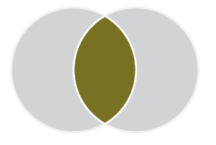 Venn diagram with two circles. Both circles are grey. The space where the circles overlap is gold.