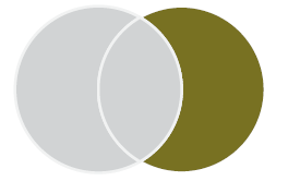 Venn diagram with two circles. The circle on the left is grey. The circle on the right is gold. The space where the circles overlap is grey.