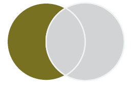 Venn diagram with two circles. The circle on the left is gold. The circle on the right is grey. The space where the circles overlap is grey.