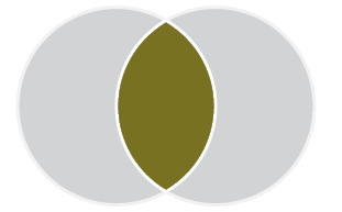 Venn diagram with two circles. Both circles are grey. The space where the circles overlap is gold.