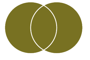 Venn diagram with two circles. Both circles are gold. The space where the circles overlap is gold.