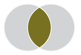 Venn diagram with two circles. Both circles are grey. The space where the circles overlap is gold.