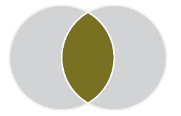 Venn diagram with two circles. Both circles are grey. The space where the circles overlap is gold.