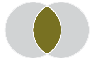 Venn diagram with two circles. Both circles are grey. The space where the circles overlap is gold.