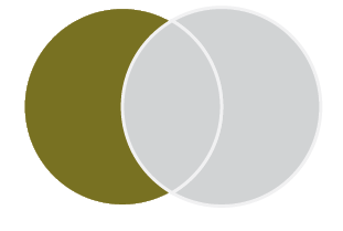 Venn diagram with two circles. The left circle is gold and the right circle is grey. The space where the circles overlap is grey.