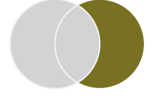 Venn diagram with two circles. the left circle is grey and the right circle is gold. The space where the circles overlap is grey.