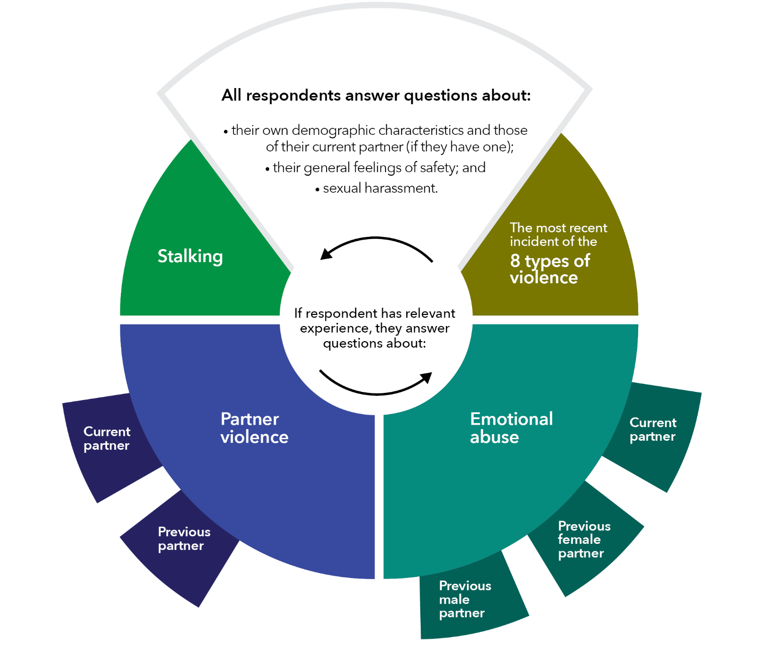 All respondents answer questions about: • their own demographic characteristics and those of their current partner (if they have one); • their general feelings of safety; and • sexual harassment. If respondent has relevant experience, they answer questions about: Stalking Partner violence • Current partner • Previous partner Emotional abuse • Previous male partner • Previous female partner • Current partner The most recent incident of 8 types of violence