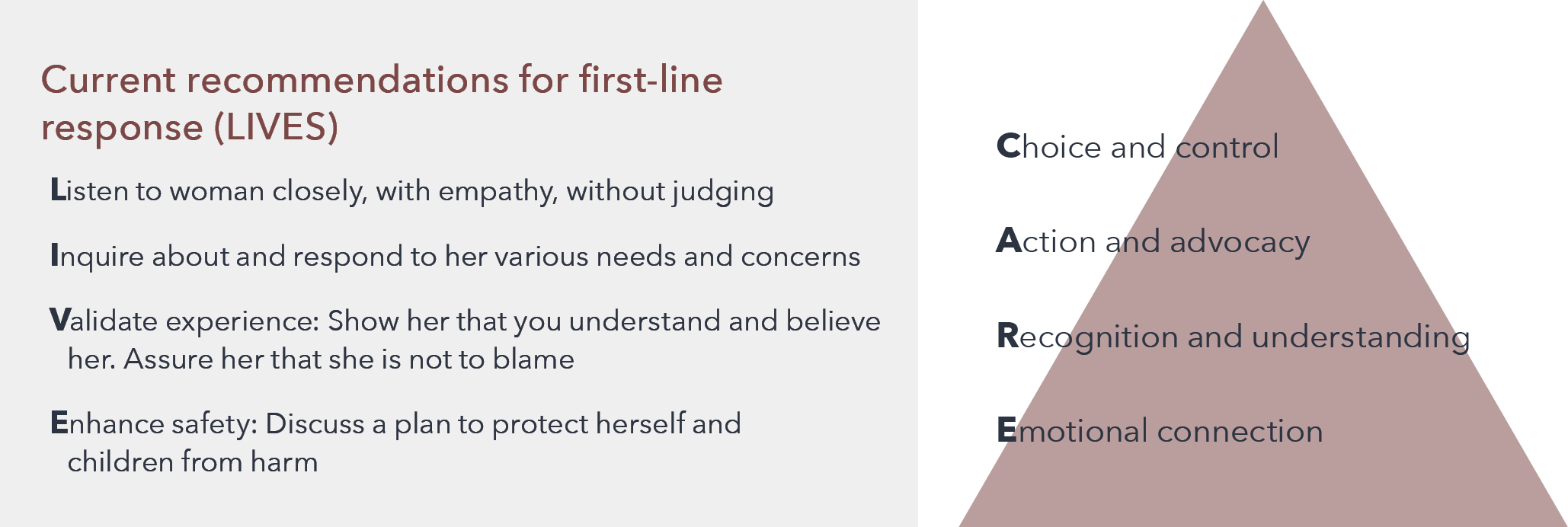 On the left is text explaining the LIVES acronym, and on the right is a triangle diagram and text explaining the CARE acronym. An illustration of a road with roadblocks. The text in this diagram is written below.