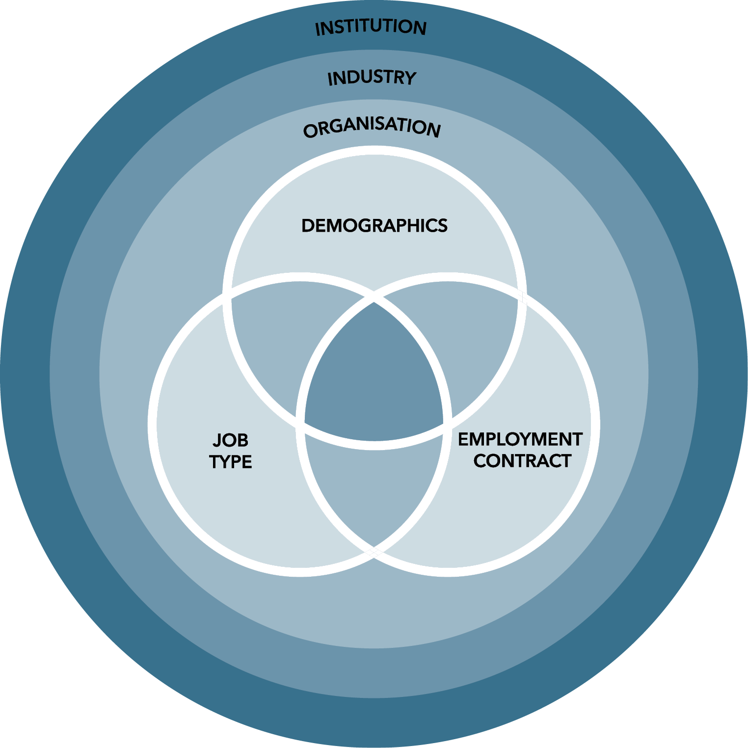 3 rings. The outer ring is labelled 'institution'. The middle ring is labelled 'industry'. The centre ring is labelled 'organisation'. Inside the centre ring is a Venn diagram with 3 intersecting circles. The circles are labelled: 'demographics', 'job type' and 'employment contract'.