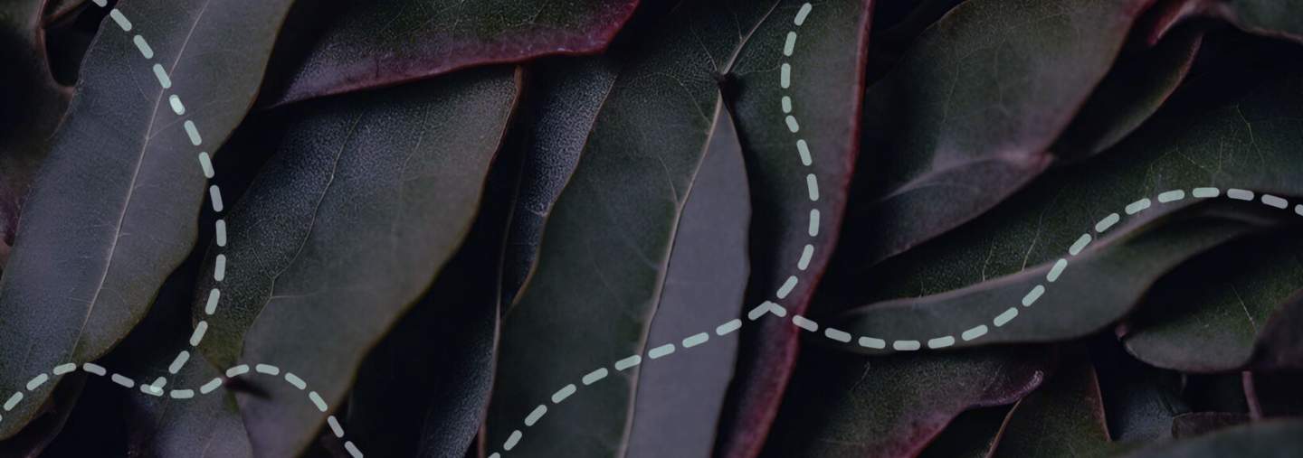 Acting on what we know: prevention, post-separation risk and the responsibility to respond